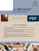 JIRAFAS1