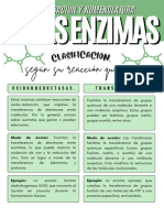 Nomenclatura y Clasificación de Las Enzimas