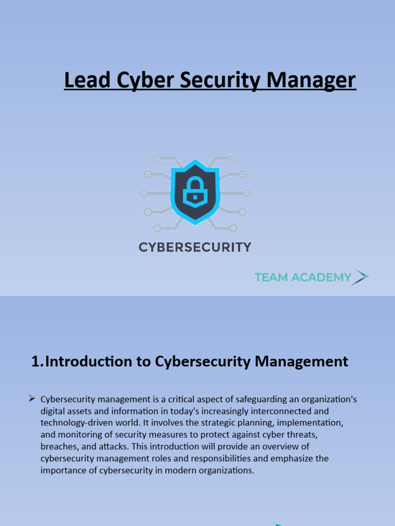 Lead Cyber Security Manager PDF