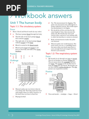 P Science 6 Workbook Answers