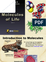 1 Molecules of Life