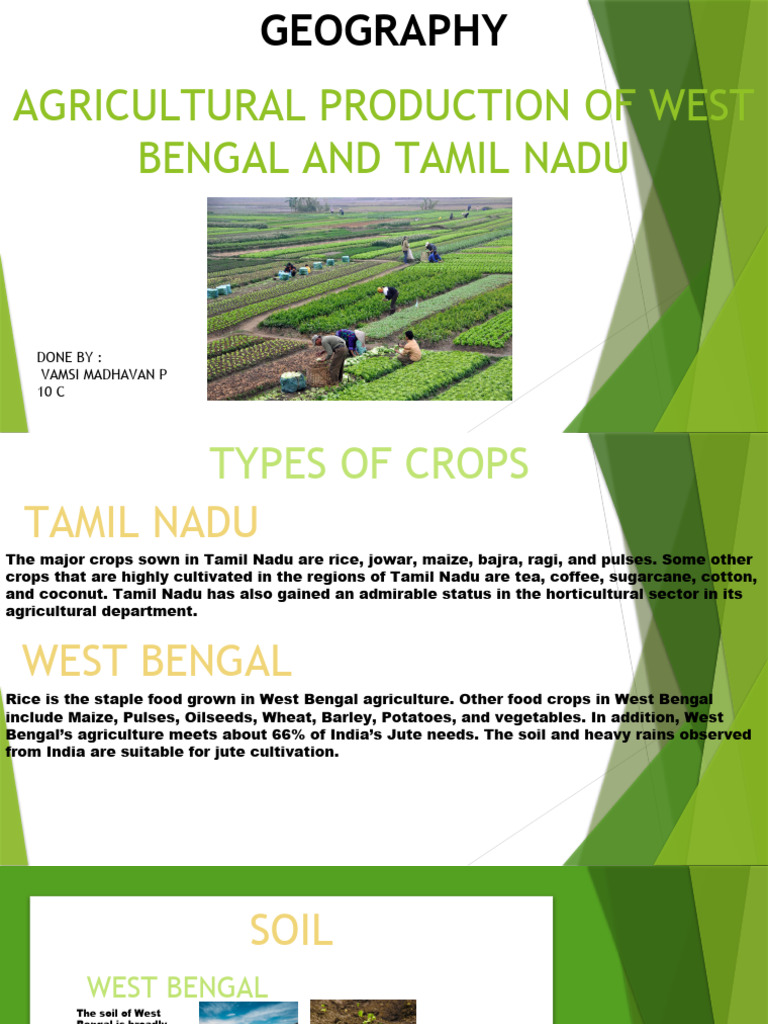 Geography agricultural production of west bengal pdf agriculture