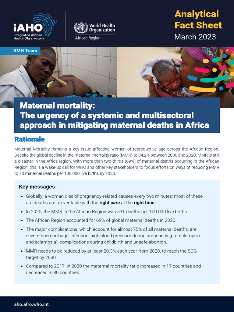 Maternal Mortality Crisis in Africa | PDF