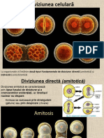 9a PPT Diviziune