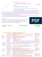 Secuencia Didáctica de Matemática Números en La Vida Cotidiana