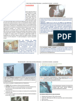 F2C2 - Traumatología - Fractura de Femur y Luxacion de Cadera