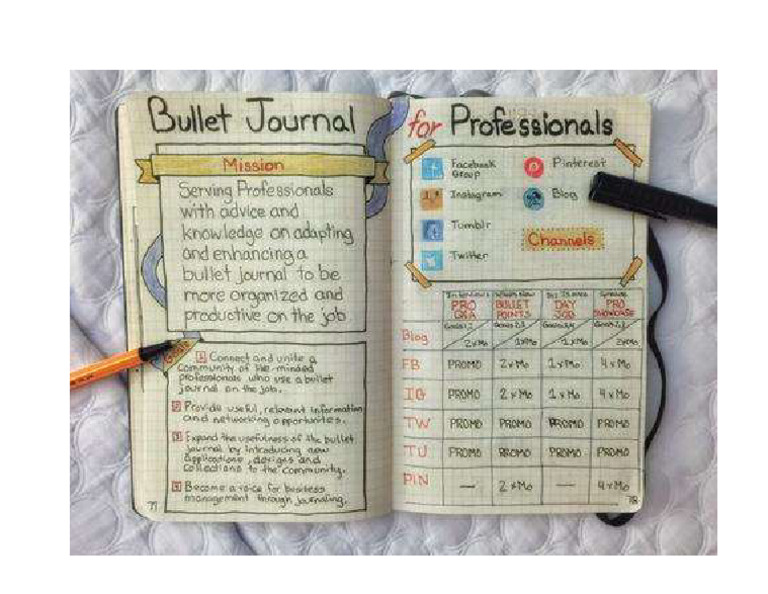 Bullet Journal Example for Professionals | PDF