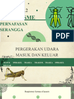 Mechanism of Respiratory System in Grasshopper