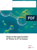 Potential Study - PTX - Tunisia - 2021