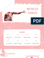 Muscle Tissue G5.