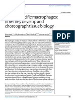 Tissue-Specific Macrophages: How They Develop and Choreograph Tissue Biology
