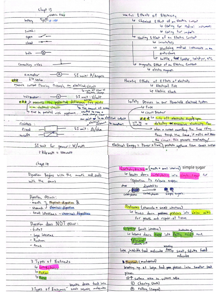 Science Notes 13-16 | PDF