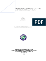 Laporan PKL Fajeri 2040101016