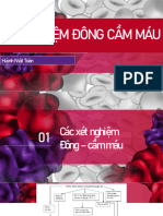 XN đông cầm máu