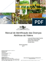 Manual Doencas Abioticas Videira