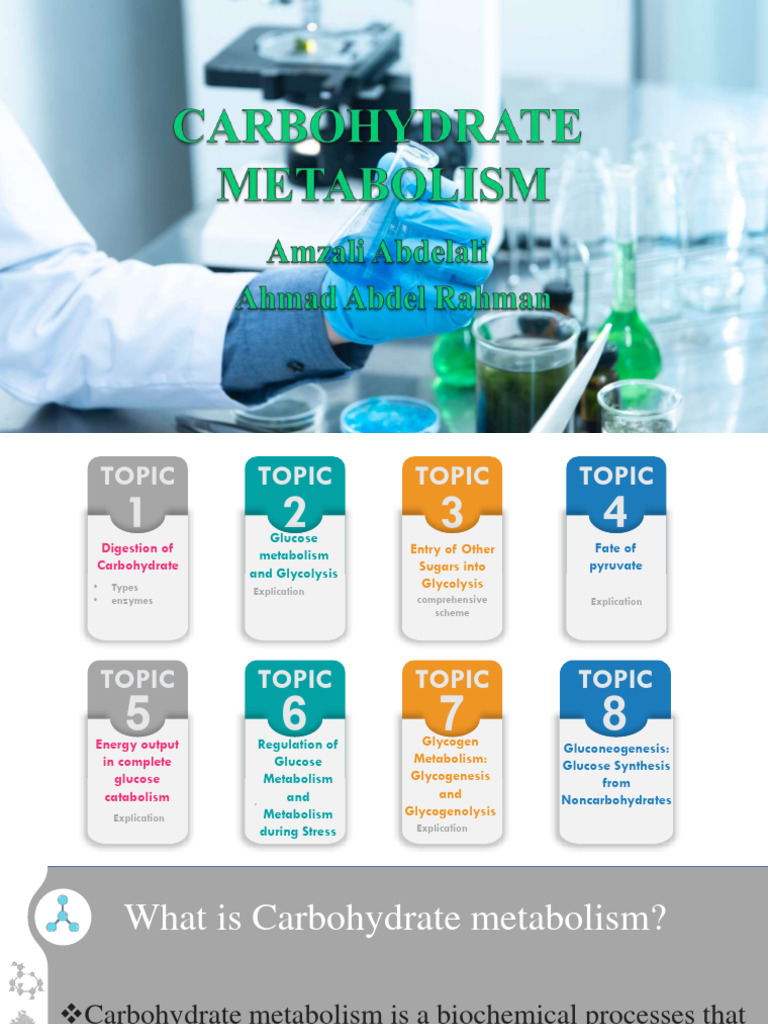 Carbohydrate Metabolism Overview | PDF | Glucose | Glycolysis