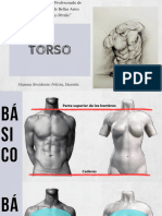 Torso 1