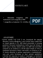 Curs 13 MG 4 Testicol 2022-2023