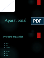 LP 9 MG 4 Renal