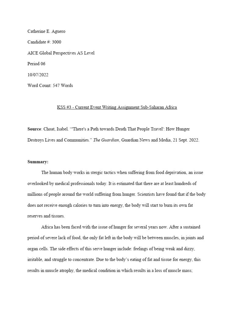 Aguero Catherine SHEET3 CurrentEventsSub-SaharanAfrica | PDF ...