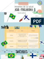 Determinantes Brasil-Finlandia