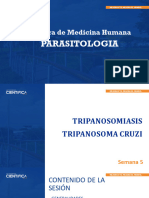 Semana 5 - Trypanosoma Cruzi