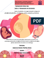 Infografia Prevencion de Anemia y Defectos Tubo Neural
