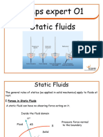 En-EEM-O1.1 - Expert Time1 - Static Fluids