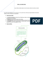 Tema 1 Naturaleza 6º