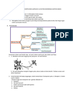 LKPD KD 3.10 Sistem Koordinasi (Sistem Saraf)