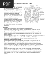 Torbay Shoulder Rehabilitation Guidelines | PDF | Anatomical Terms Of ...