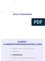 Tema 3 - Carbohidratos