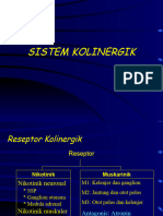 KOLINERGIK