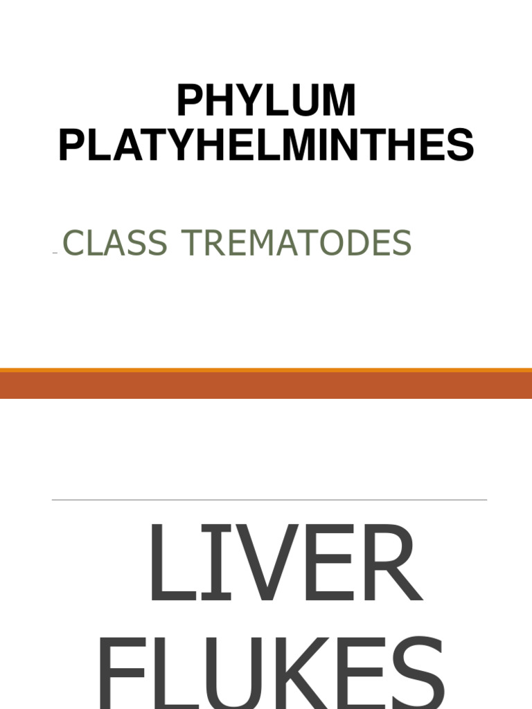 3.4 Liver and Intestinal Flukes | PDF | Medical Specialties | Clinical