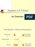Hepatitis Final