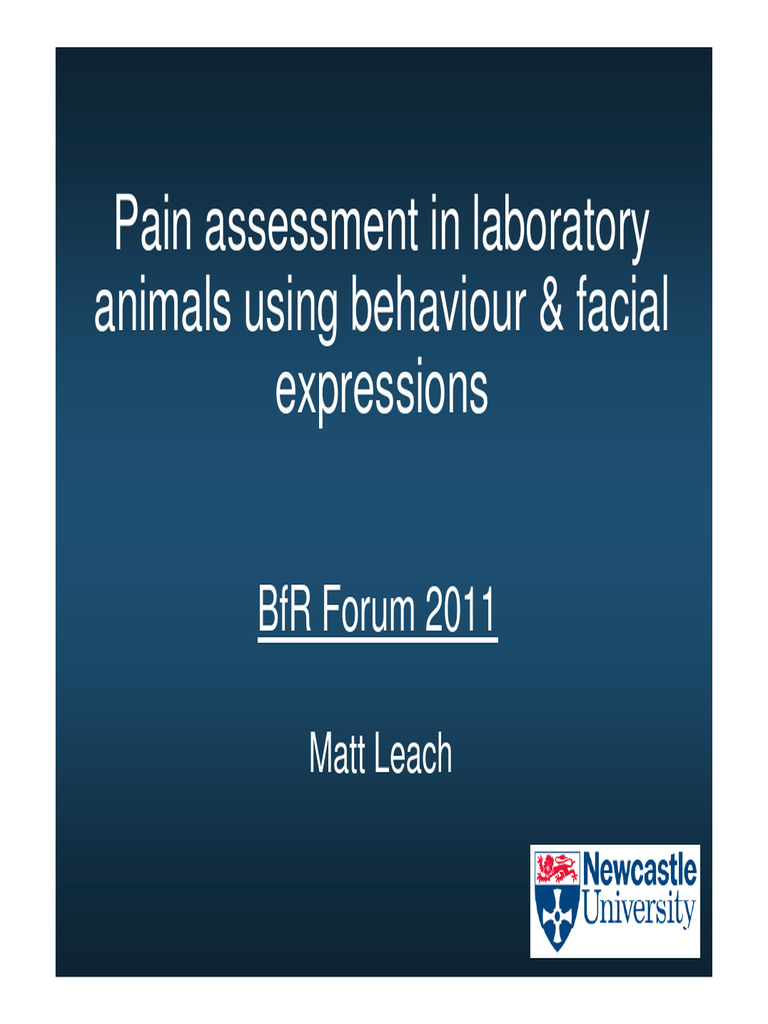Assessing Pain in Lab Animals via Behavior | PDF