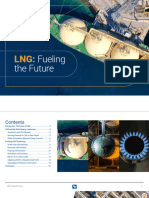 LNG - Fueling The Future