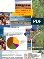 Areas Naturales Protegidas