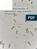 Under-Ground Interplay of Opportunistic Fungi, Nematode and Plant