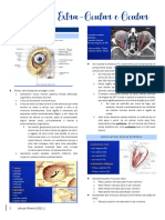 1. Anatomia, Refração, Cirurgica Do Segmento Superior, Ulceras Da Cornea e Fundoscopia