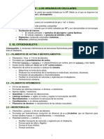 Biología 2ºbach Apuntes Tema 5 - Orgánulos Celulares