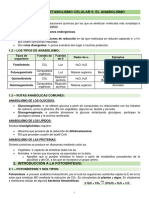 BIOLOGÍA 2ºBACH APUNTES TEMA 8 - Metabolismo Celular II. Anabolismo