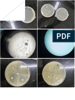 Microbiology Lab Pictures