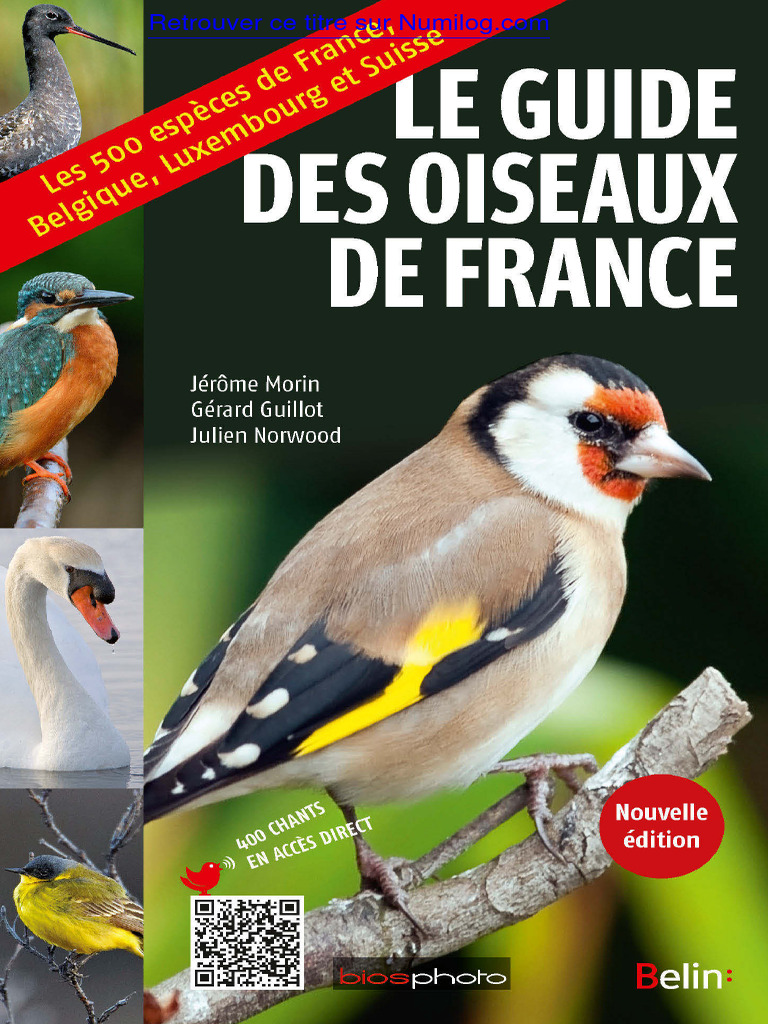 Guide Oiseaux De France