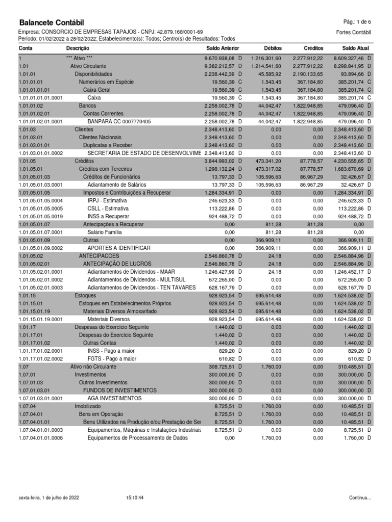 Balancete Contábil - Fevereiro 2022 | PDF | Economias | Business