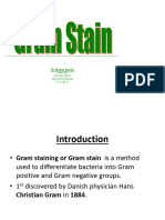 Gram Stain