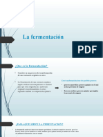 La Fermentación Trabajo Amalia F