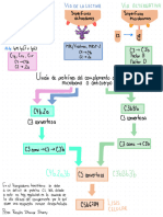 Vías Del Complemento.