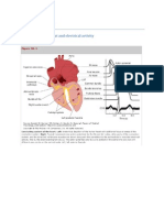 Cardio Physiology Full
