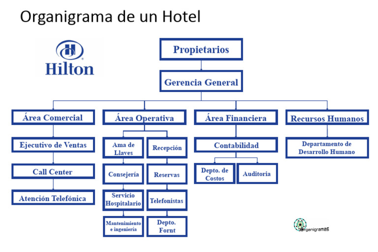 Organigrama de Un Hotel Plantilla Archivo | PDF